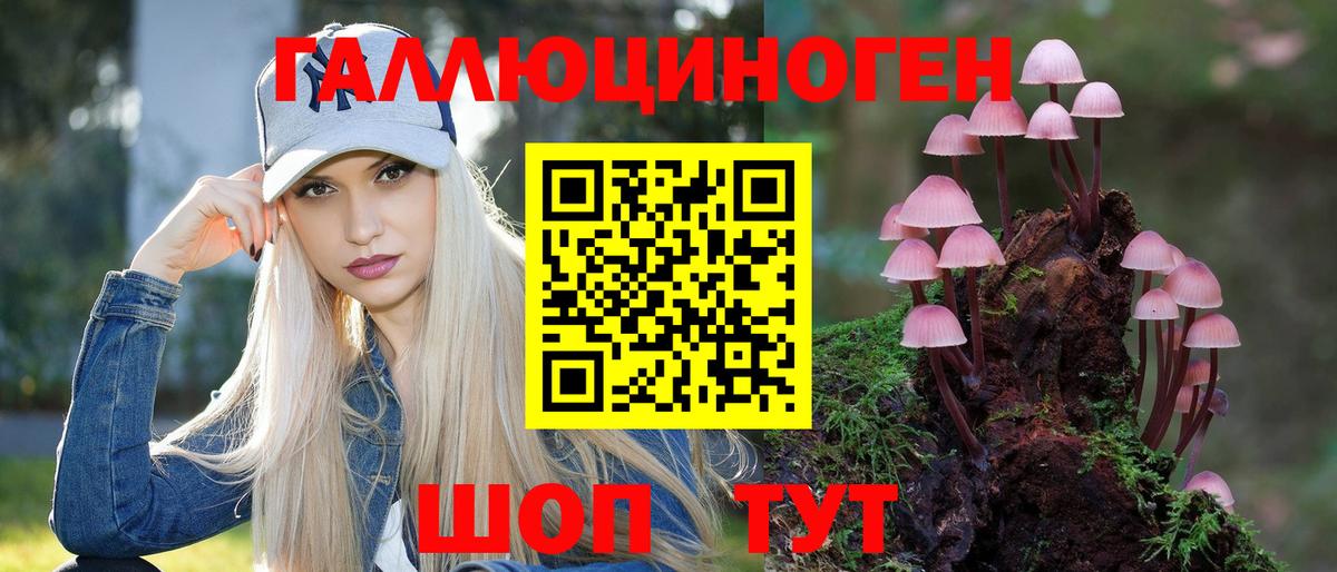 Псилоцибиновые грибы прущие грибы Куйбышев