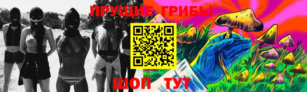 Галлюциногенные грибы прущие грибы  Псилоцибиновые грибы MAGIC MUSHROOMS  Куйбышев  Вход с VPN 